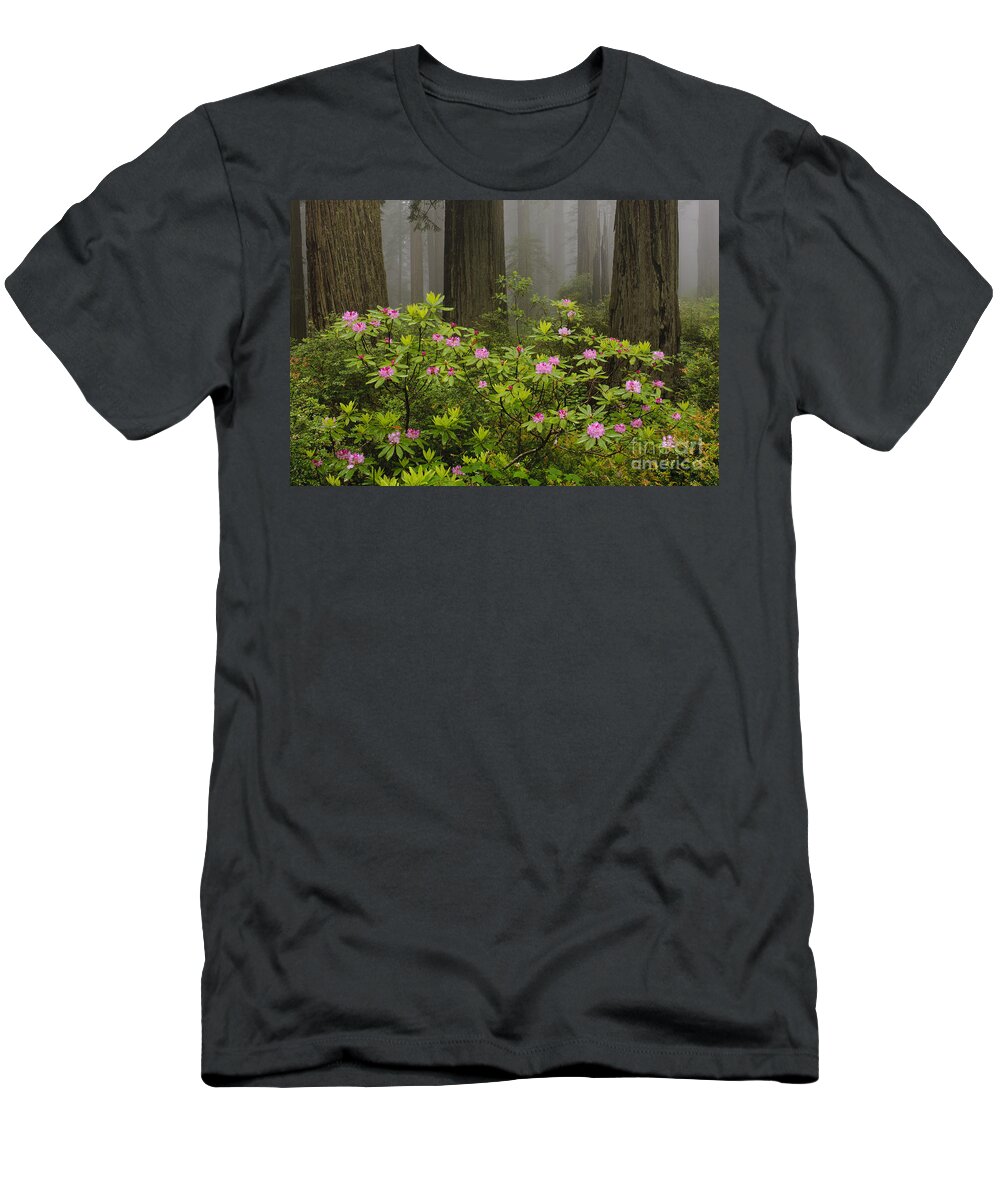 Pacific Rhododendron T-Shirt featuring the photograph Rhododendron In Del Norte State Park, Ca by John Shaw