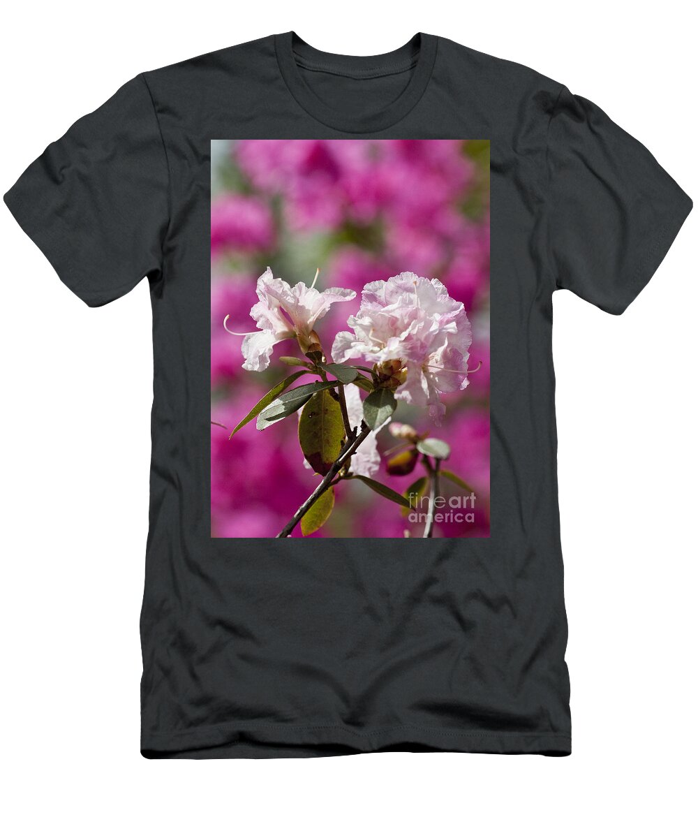 Arboretum T-Shirt featuring the photograph Rhododendron by Steven Ralser