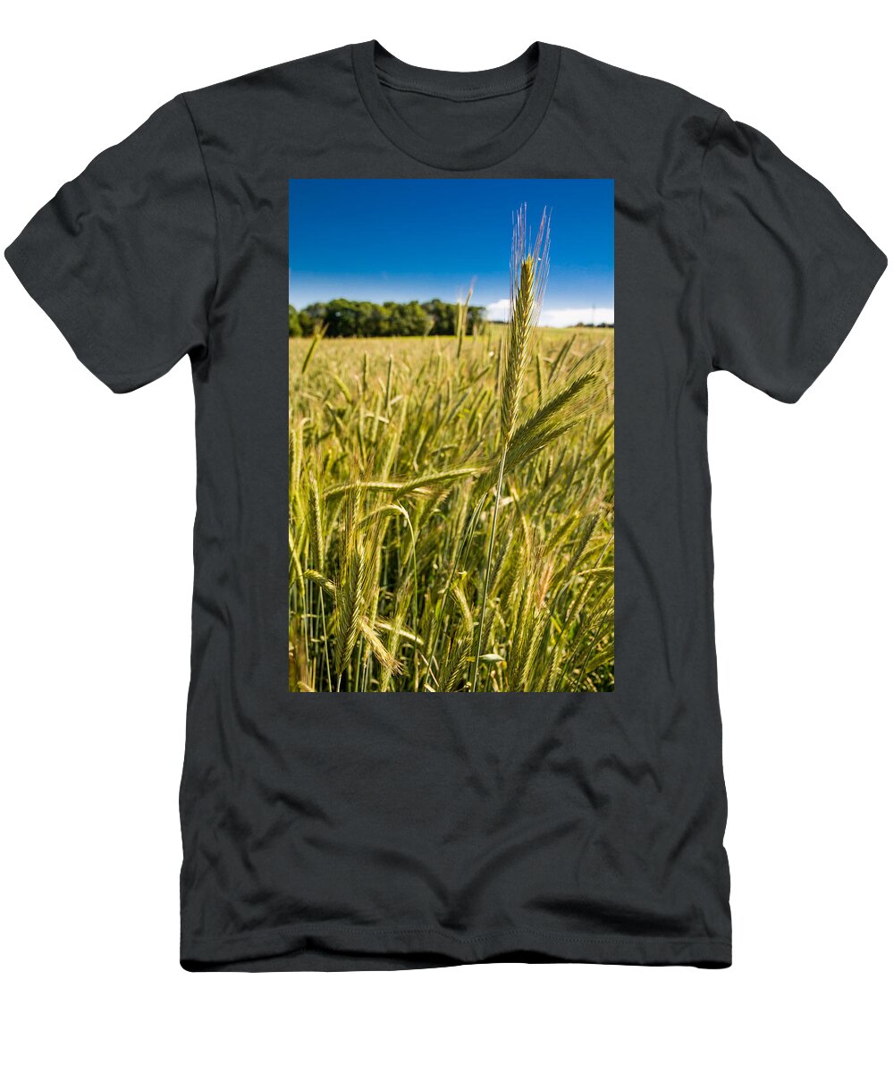 Corn T-Shirt featuring the photograph Ripe Corn by Andreas Berthold