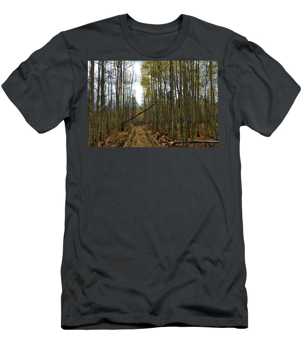 Landscapes T-Shirt featuring the photograph Road To Zion by Jeremy Rhoades