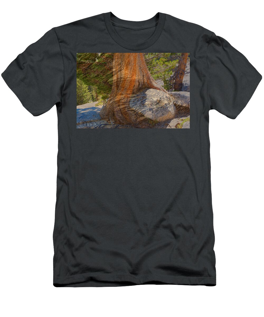 Rock Tree Weathered Stone Texture T-Shirt featuring the photograph Rock tree weathered stone texture by Randall Branham