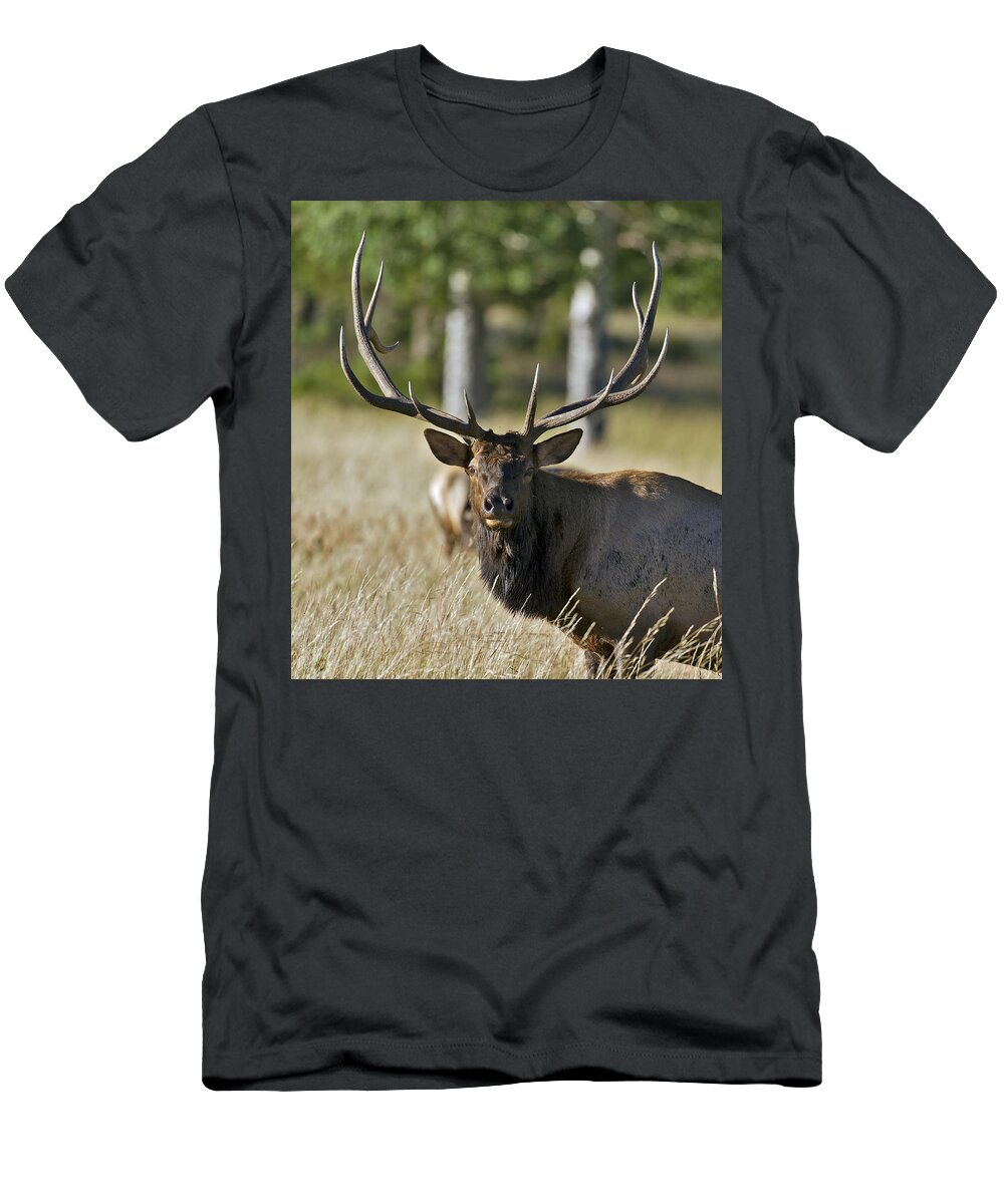 Bull T-Shirt featuring the photograph Rocky Mountain Bull Elk by Gary Langley