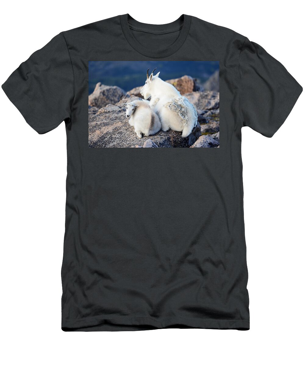 Wildlife T-Shirt featuring the photograph Rocky Mountain Goat by Lena Owens - OLena Art Vibrant Palette Knife and Graphic Design