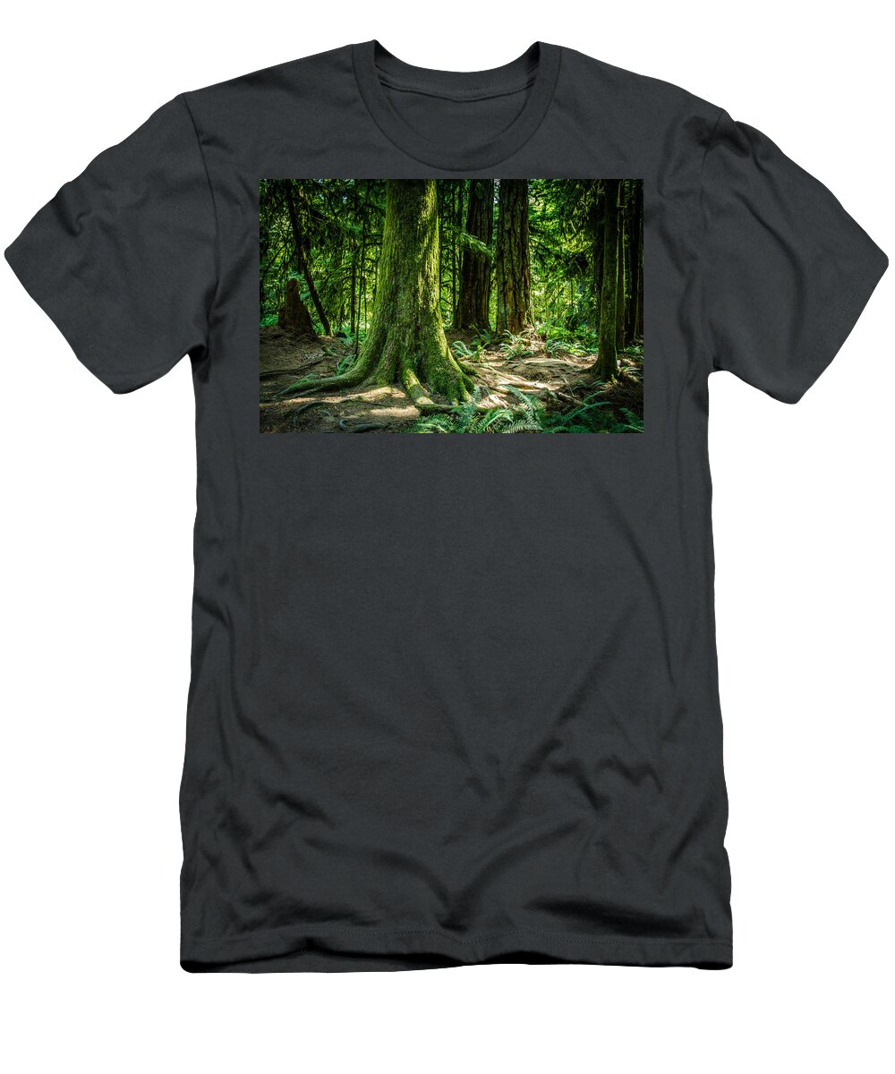 Old Growth Forest T-Shirt featuring the photograph Root Feet Cathedral Grove by Roxy Hurtubise