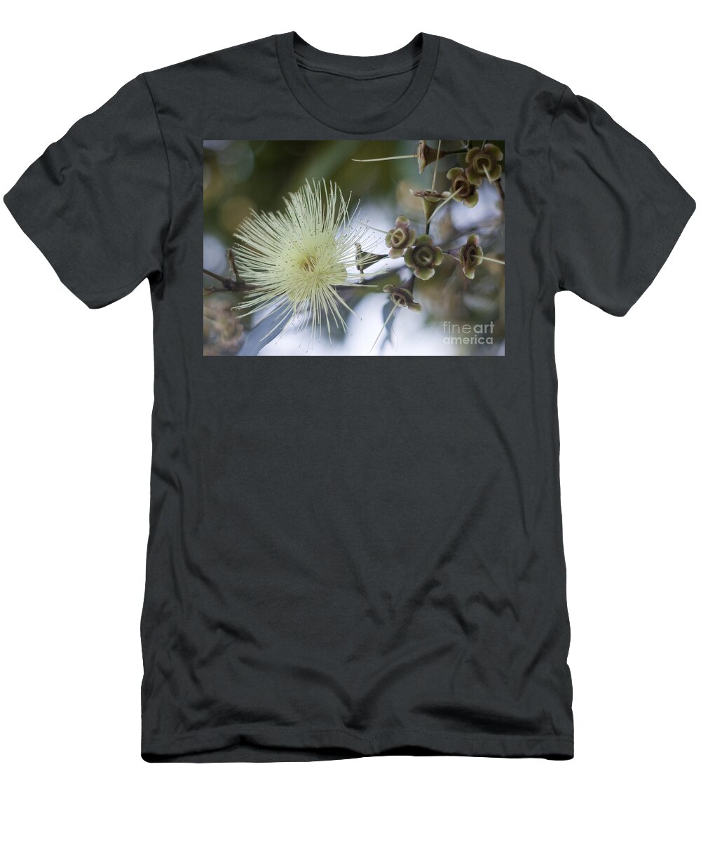 Single T-Shirt featuring the photograph Rose Apple Blossom by Kerryn Madsen-Pietsch