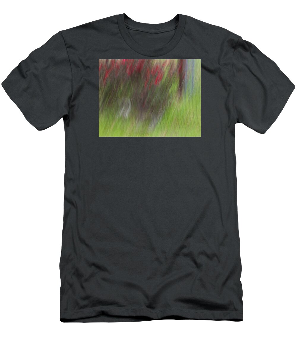 Rose T-Shirt featuring the photograph Roses by Mark Alder
