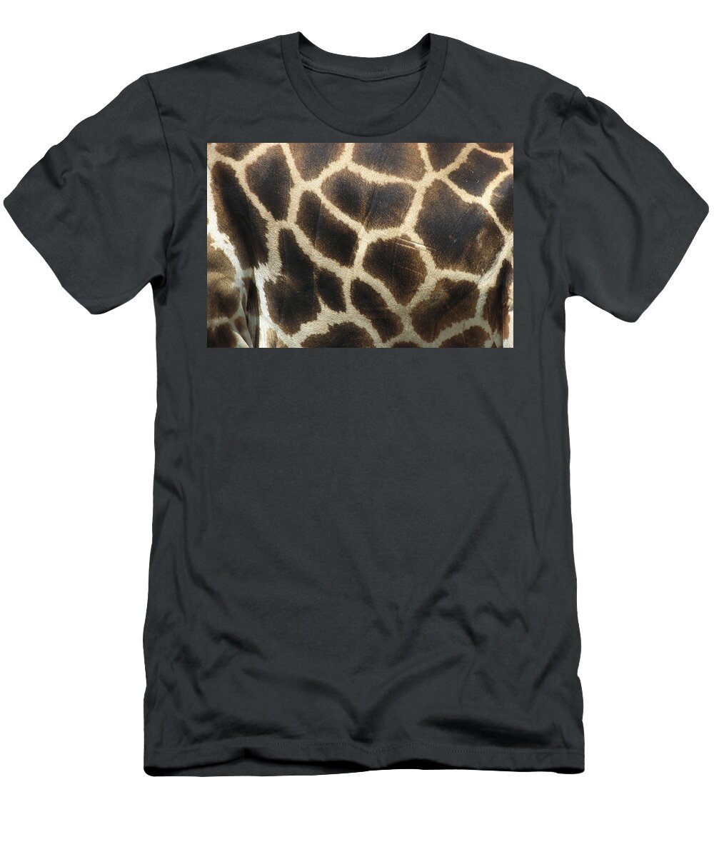 Zssd T-Shirt featuring the photograph Rothschild Giraffe Detail by Zssd
