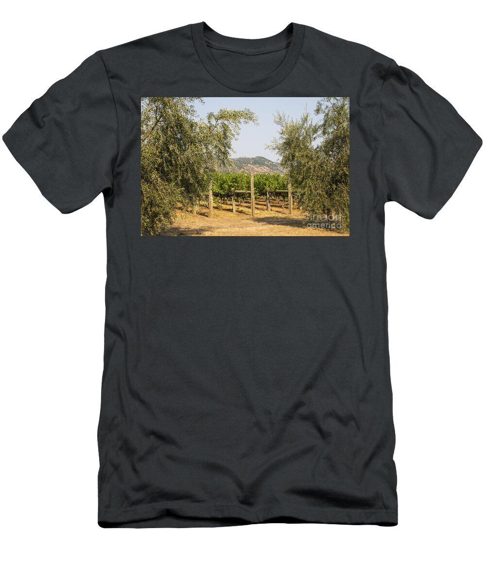 Bunch Cluster Grapes Grape Vine Vines Fruit Fruits Food Foods Olive Trees Olives Tree Round Pond Estates Vineyard Vineyards Napa Valley California T-Shirt featuring the photograph Round Pond Grapes and Olives by Bob Phillips