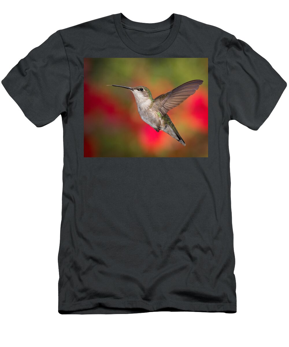 Ruby-throated Hummingbird T-Shirt featuring the photograph Ruby Throated Hummingbird by Dale Kincaid