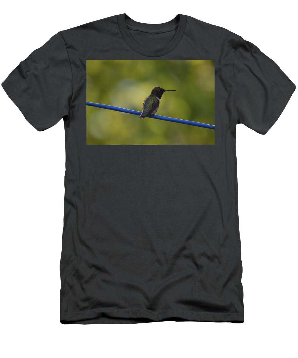 Nature T-Shirt featuring the photograph Ruby-throated Hummingbird by James Petersen