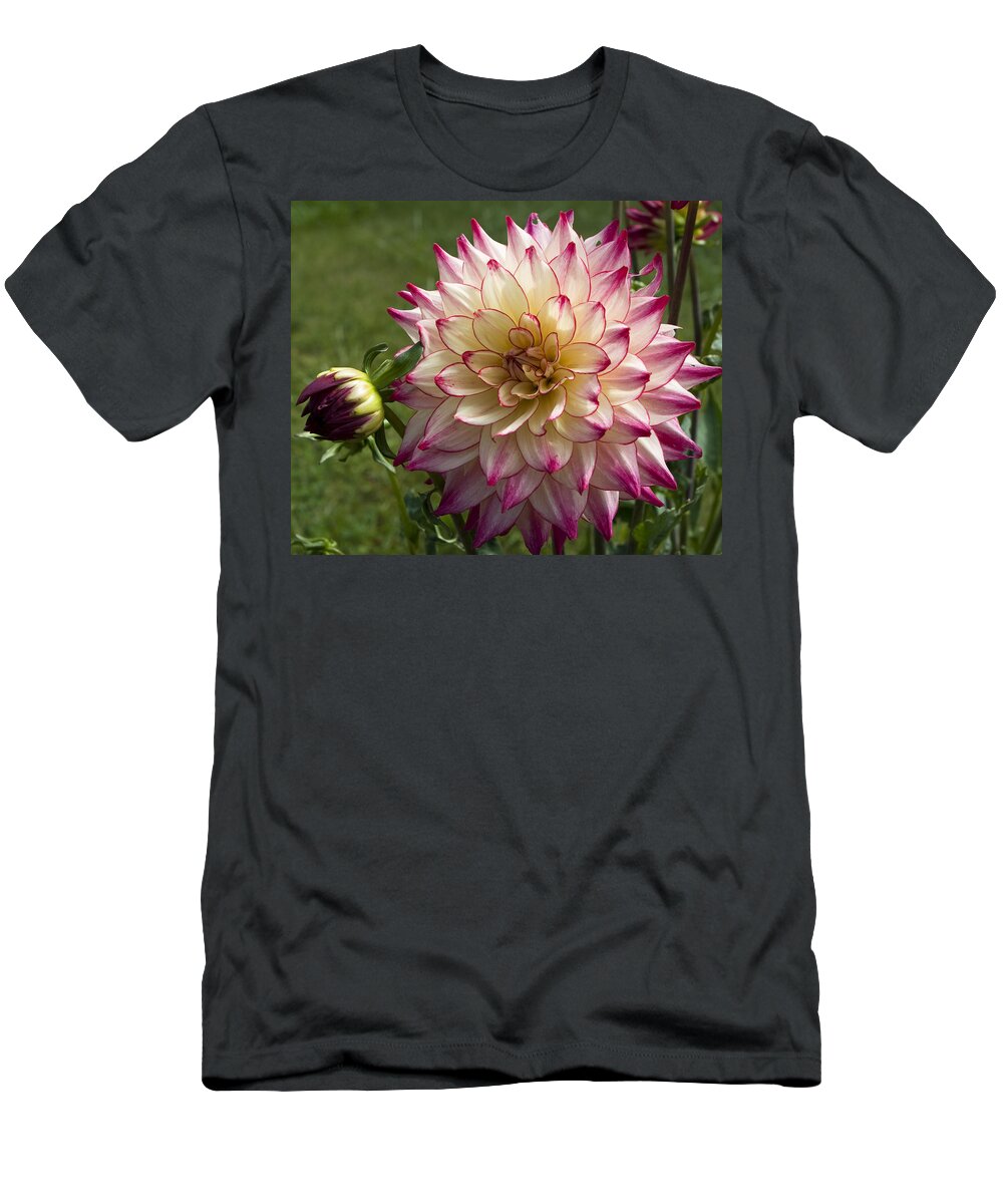 Flower T-Shirt featuring the photograph Ruby Tinged Ferndale Blossom by Lorraine Devon Wilke