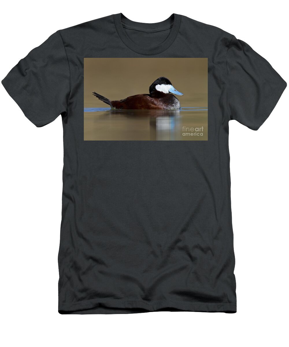 Ruddy Duck T-Shirt featuring the photograph Ruddy duck on still pond by Bryan Keil