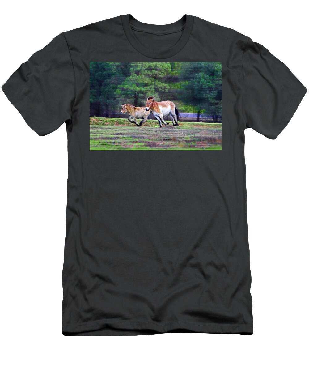 #przewalski's Horse T-Shirt featuring the photograph Running with the wind by Miroslava Jurcik
