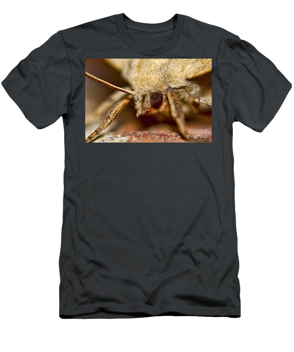 Sad Eye T-Shirt featuring the photograph Sad Eyed Sphinx by Gary Holmes