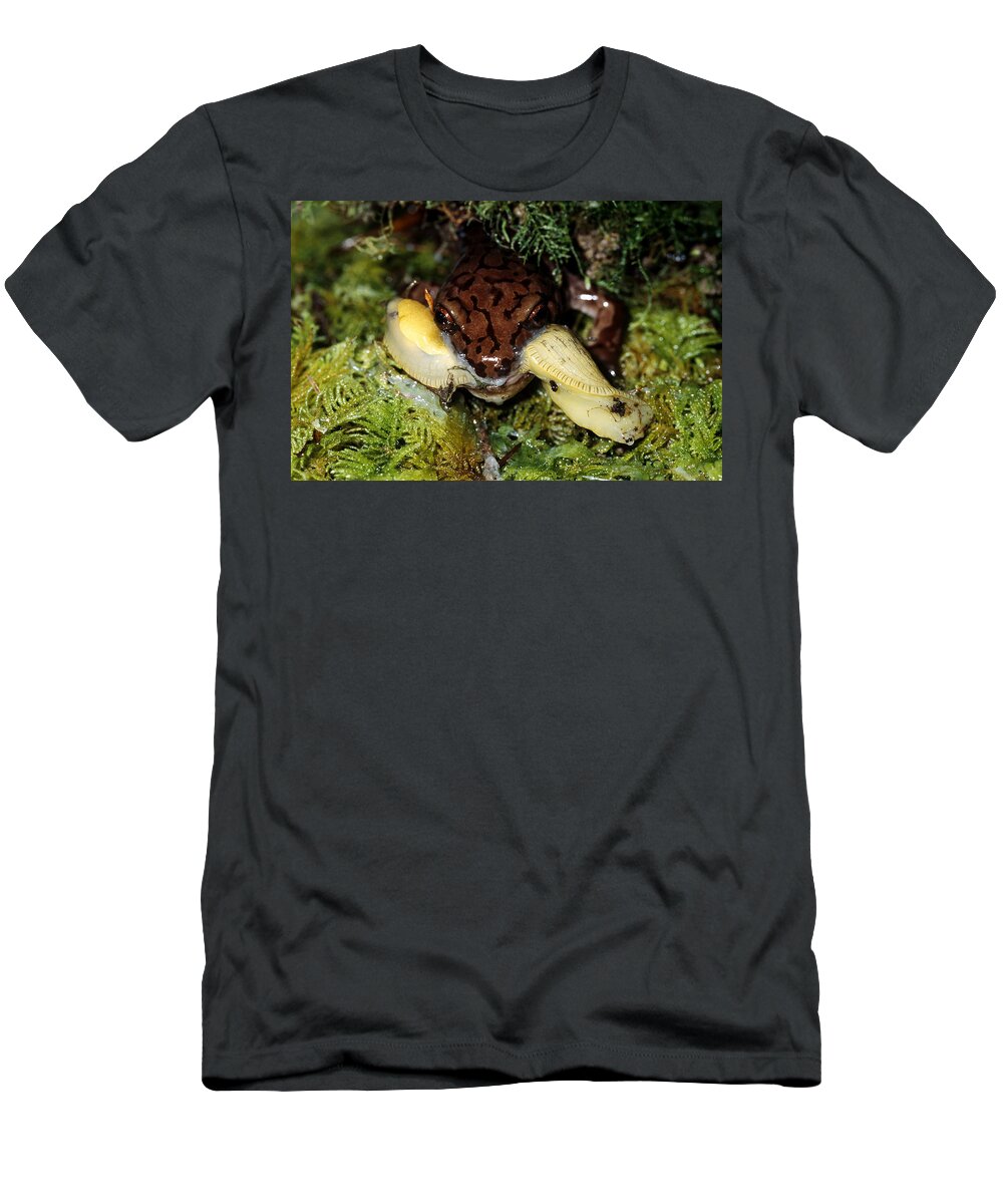Amphibia T-Shirt featuring the photograph Salamander Eating A Slug by Karl H. Switak