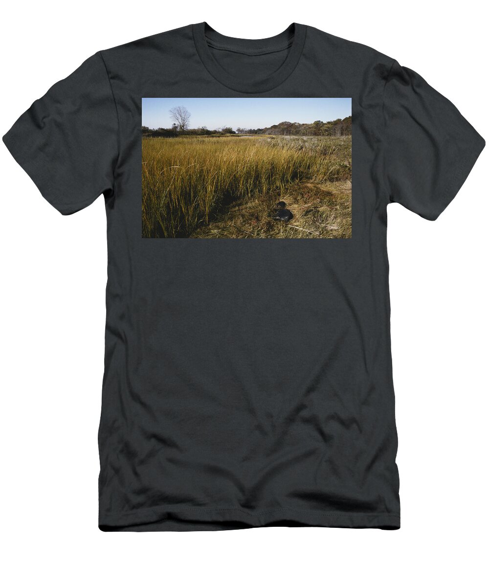1995 T-Shirt featuring the photograph Salt Marsh Cordgrass by John W. Bova