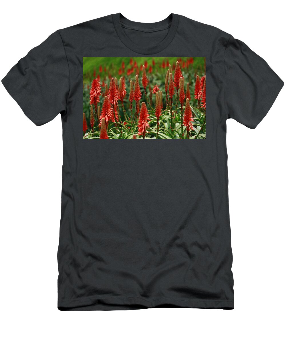 San Diego T-Shirt featuring the photograph La Jolla Spring by John F Tsumas