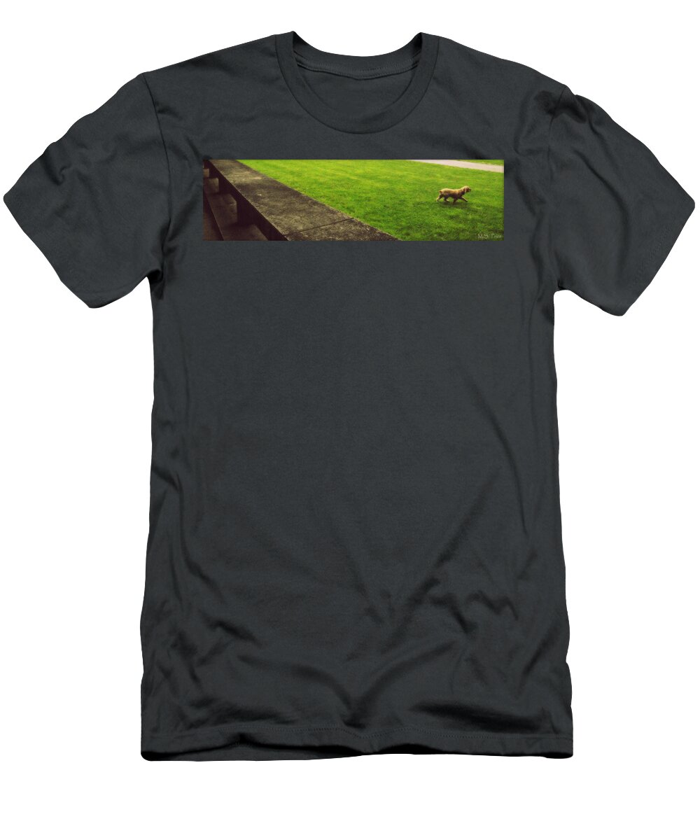 Groton School T-Shirt featuring the photograph Sandy by Marysue Ryan