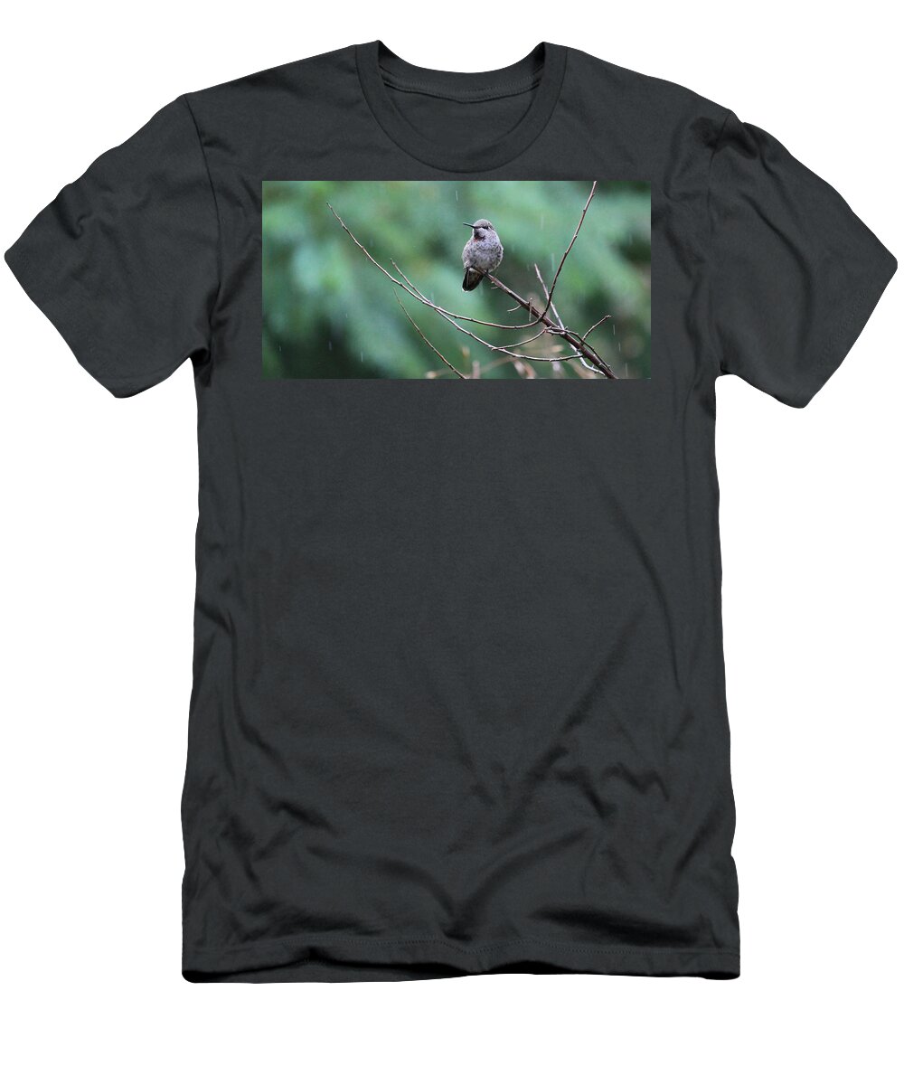 Birds T-Shirt featuring the photograph Savoring Rain by Rory Siegel