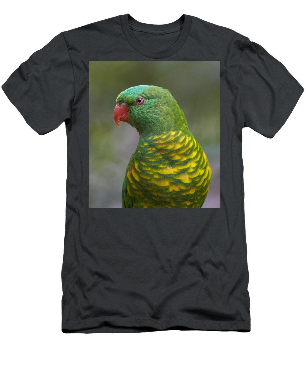 Martin Willis T-Shirt featuring the photograph Scaly-breasted Lorikeet Australia by Martin Willis