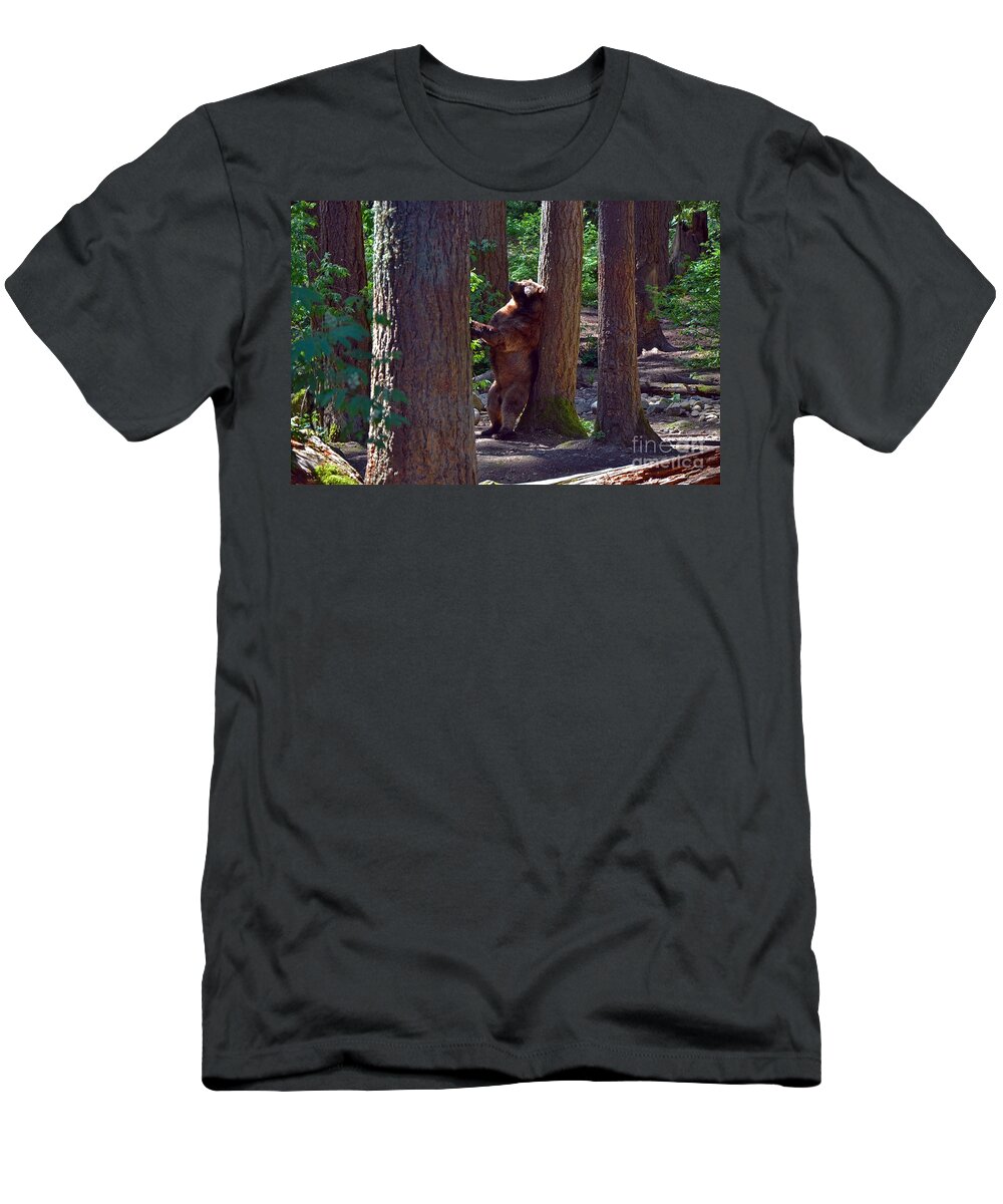 Brown Bear T-Shirt featuring the photograph Scratchin by Frank Larkin
