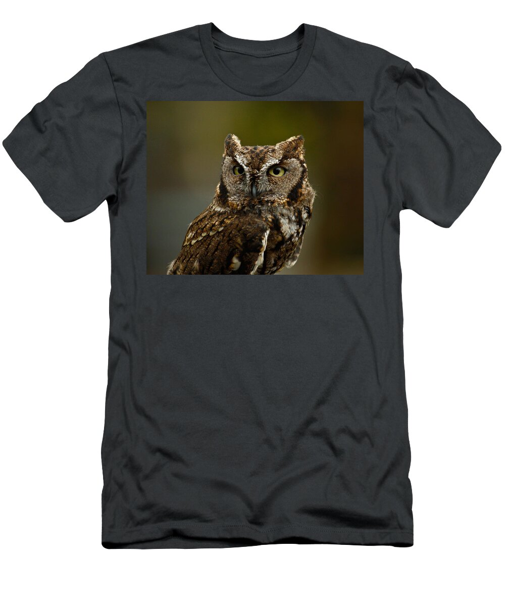 Screech Owl T-Shirt featuring the photograph Screech Owl by Steve McKinzie