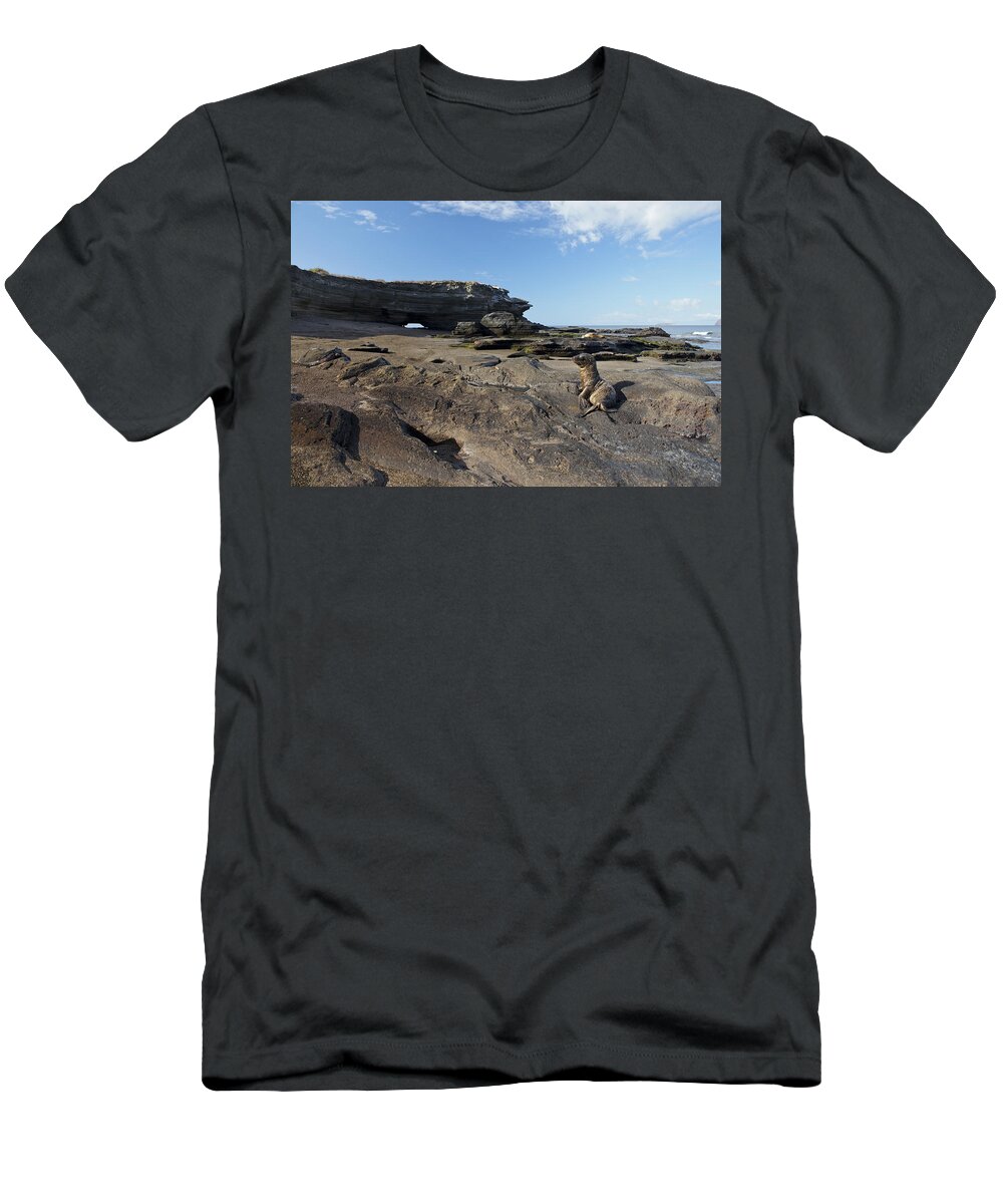 Isla San Salvador T-Shirt featuring the photograph Sea Lion Pup relaxing in Egas Port by Brian Kamprath