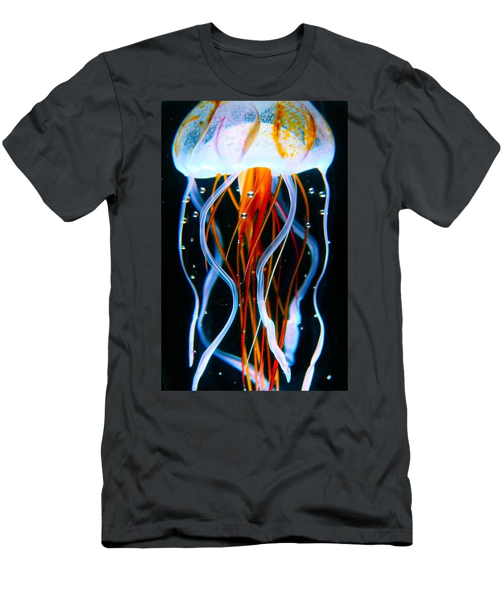 Sea T-Shirt featuring the photograph Sea Nettle Jellyfish by Karon Melillo DeVega