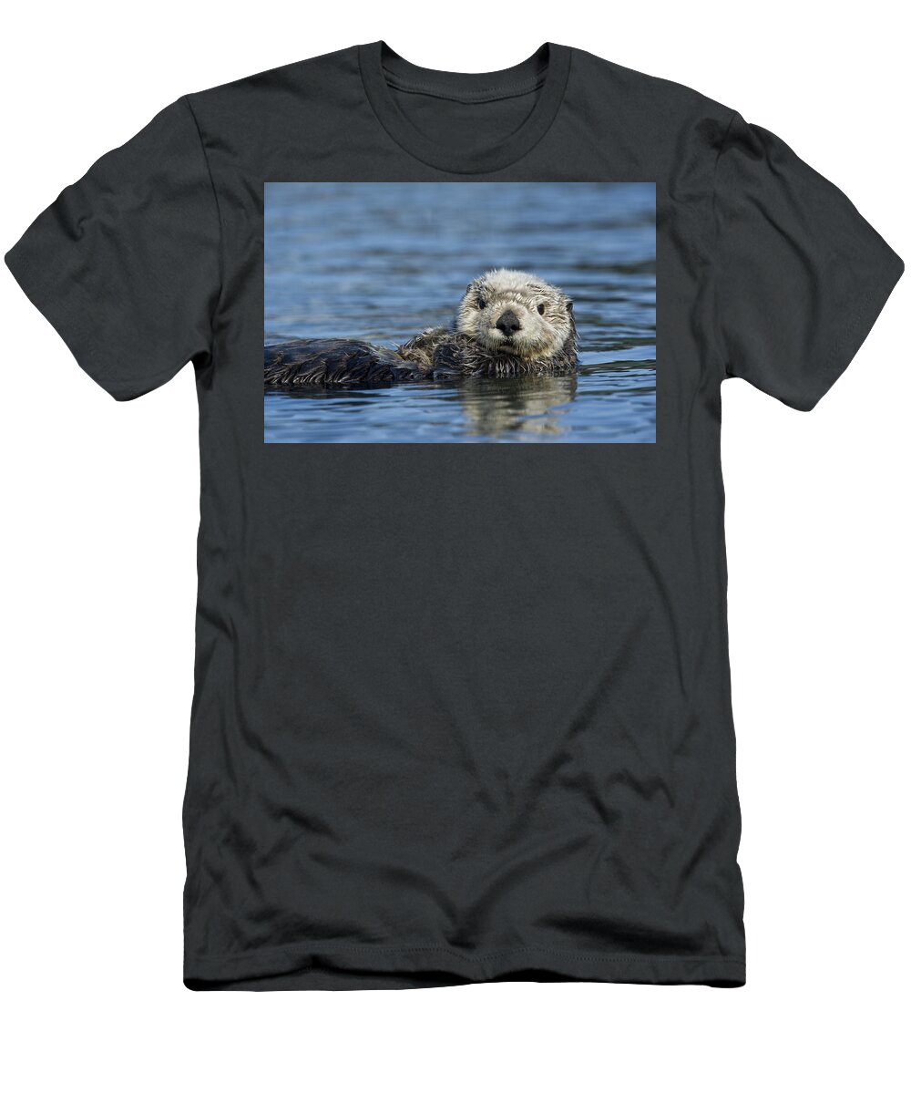 Michael Quinton T-Shirt featuring the photograph Sea Otter Alaska by Michael Quinton