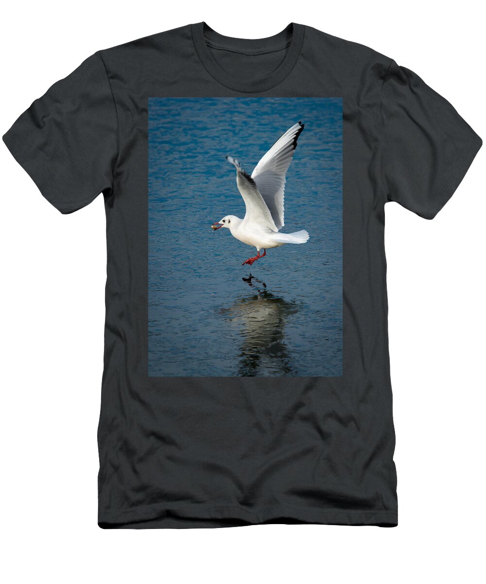 Seagull T-Shirt featuring the photograph Seagull With Stone Above Frozen Lake by Andreas Berthold