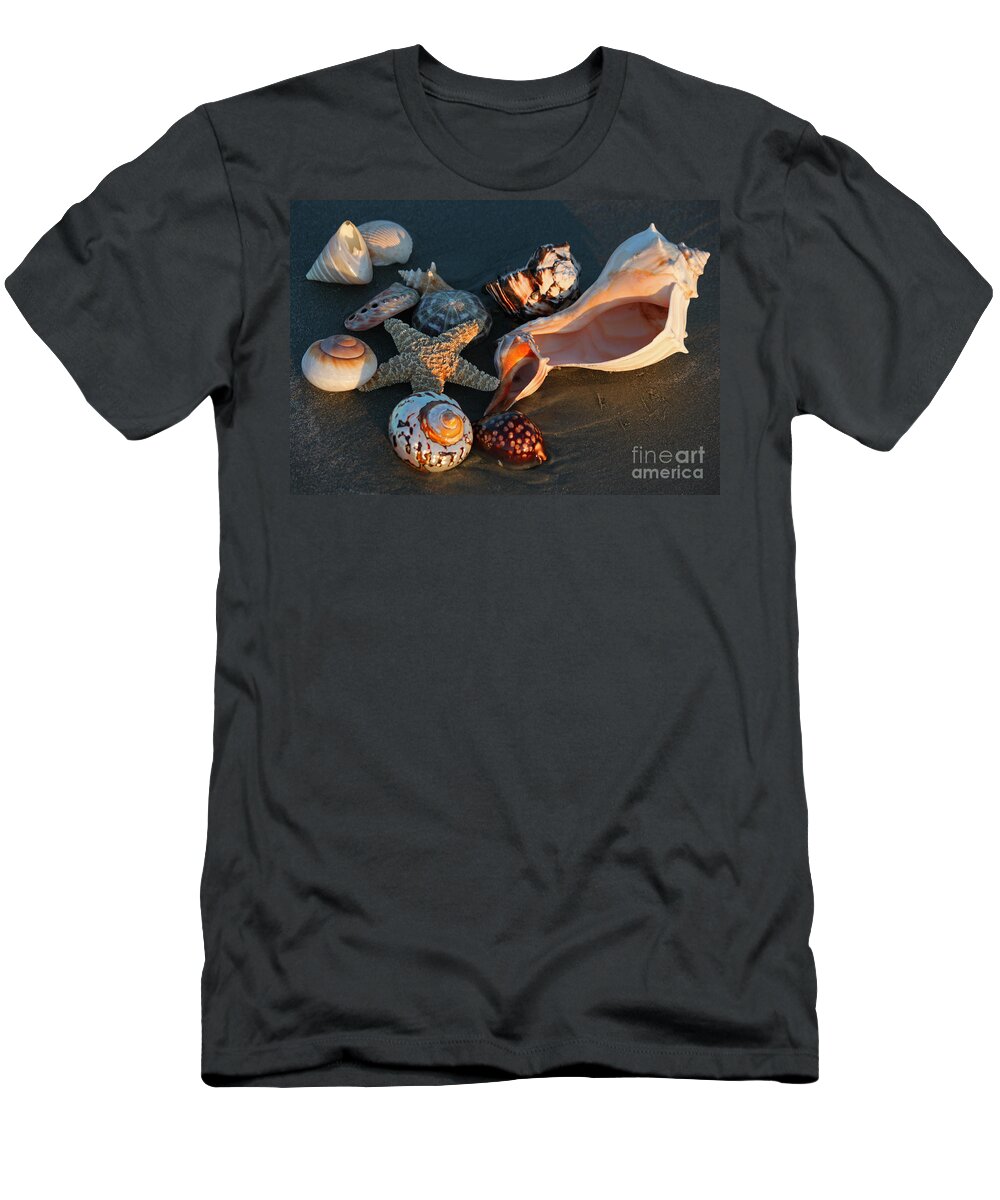 Sea Shells T-Shirt featuring the photograph Seashells at Sunset by Suzanne Gaff