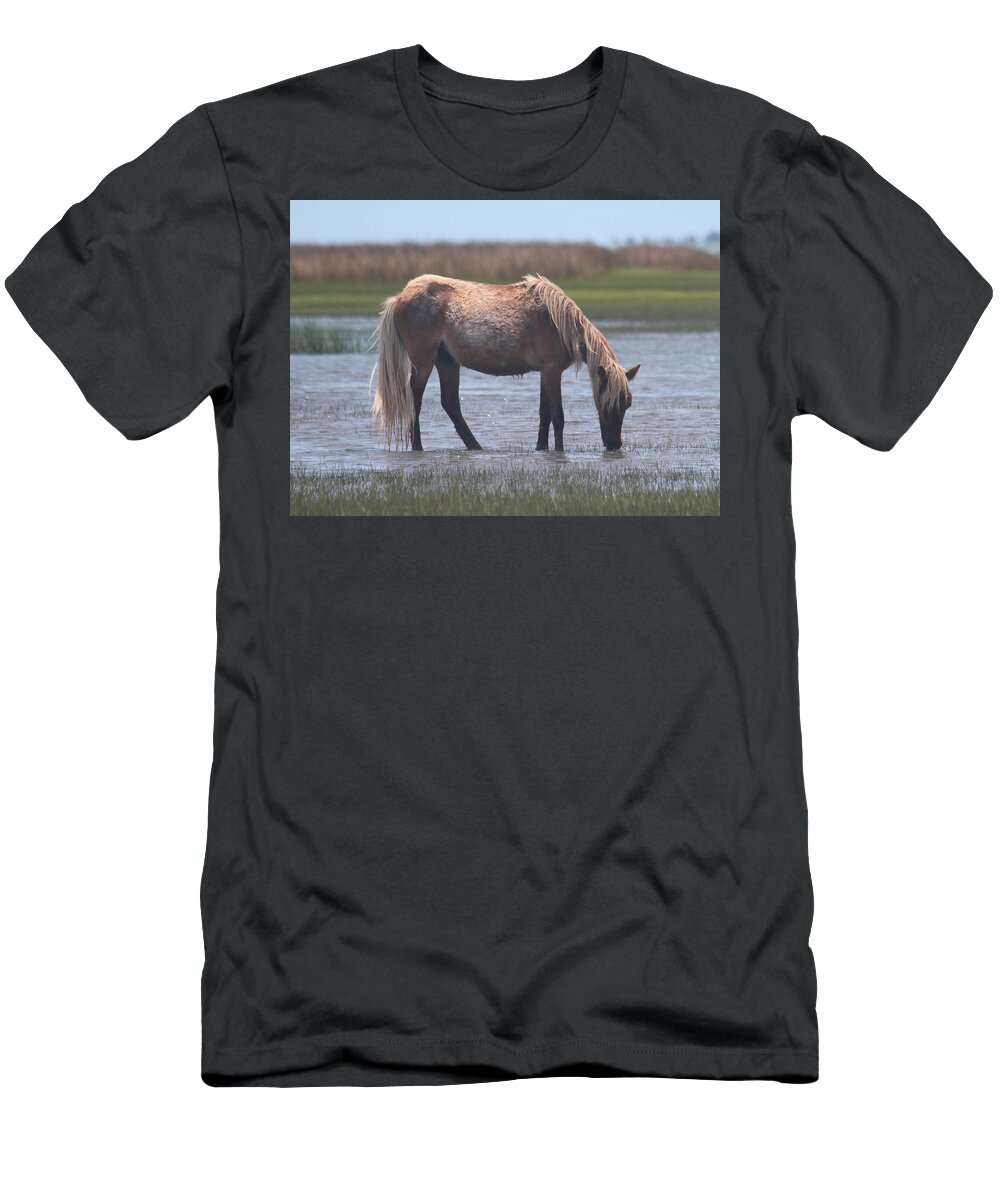 Shackleford Banks T-Shirt featuring the photograph Shackleford Banks Ponies 2014 22 by Cathy Lindsey