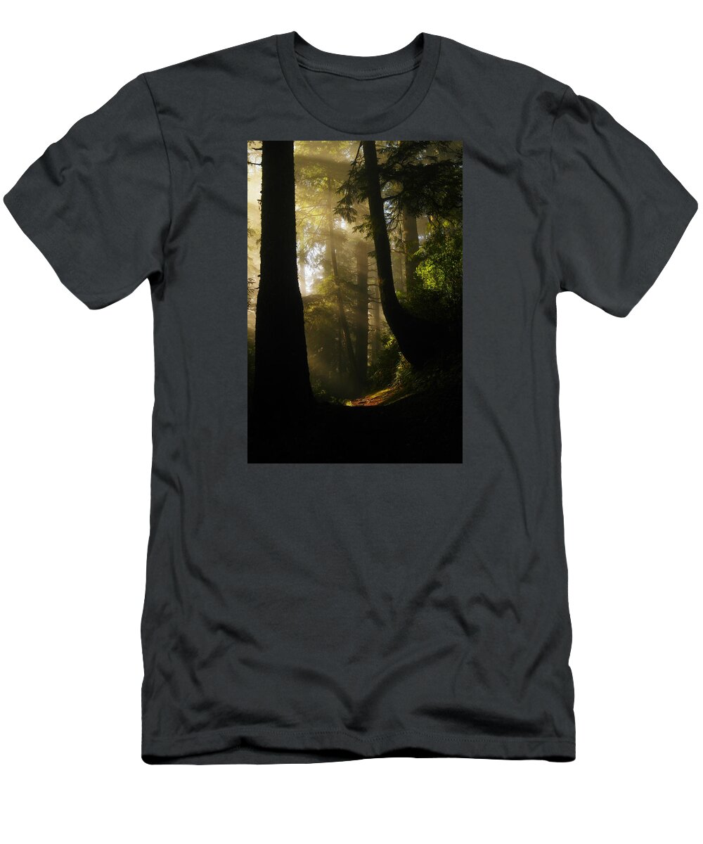 Trees T-Shirt featuring the photograph Shadow Dreams by Jeff Swan