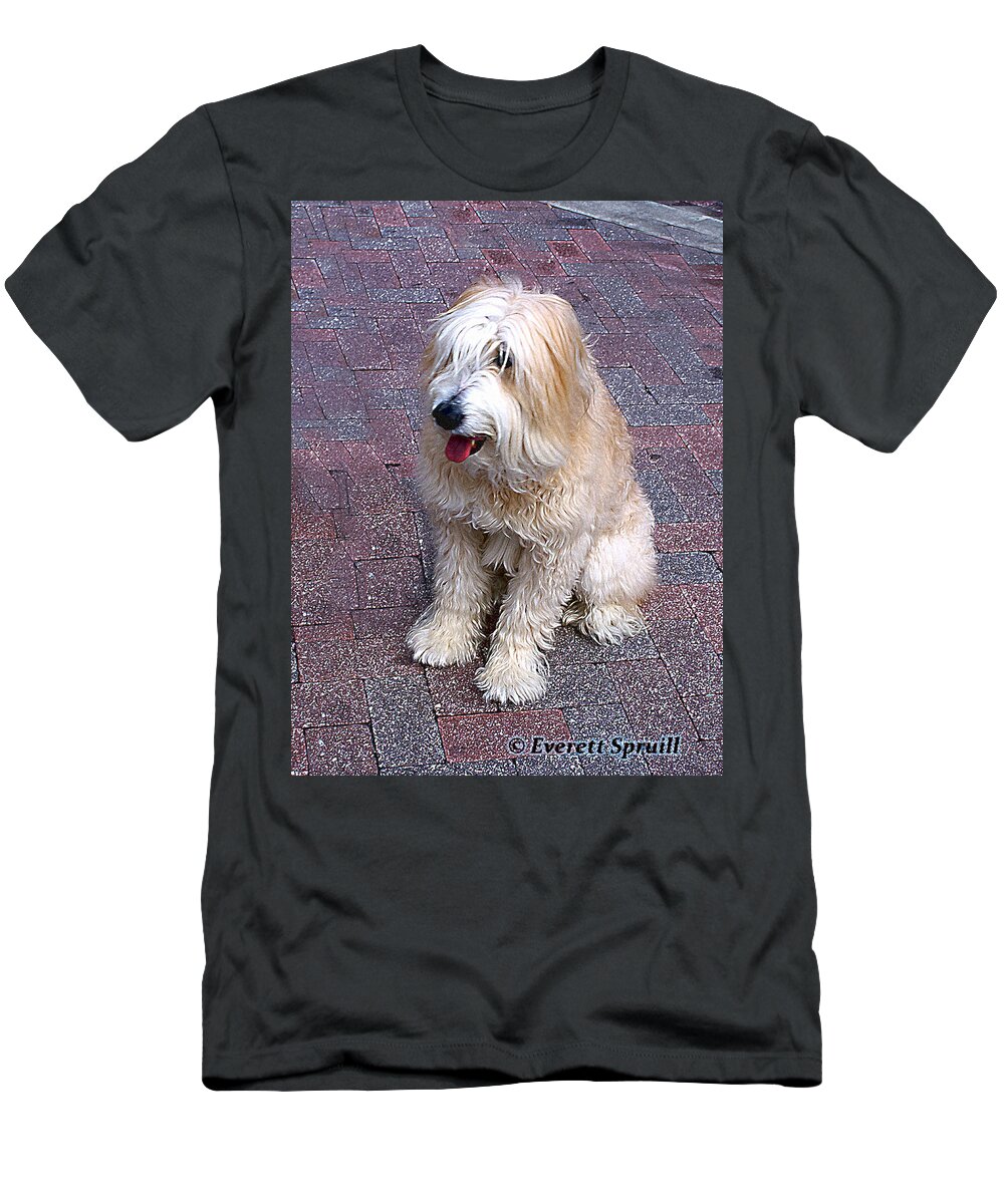 Everett Spruill T-Shirt featuring the photograph Shaggy 2 by Everett Spruill