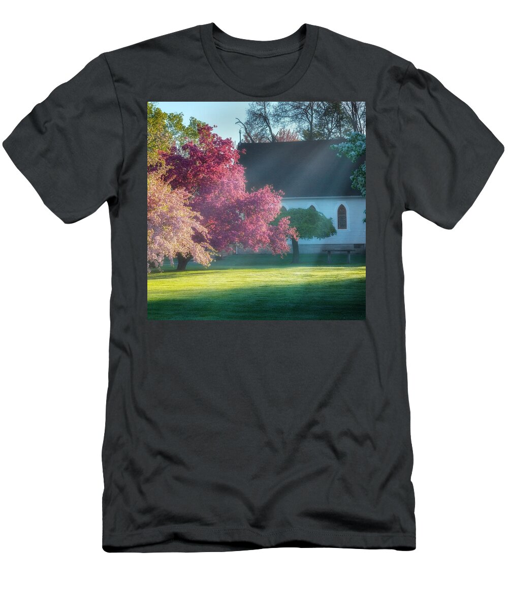 Spring T-Shirt featuring the photograph Shine The Light On Me Square by Bill Wakeley