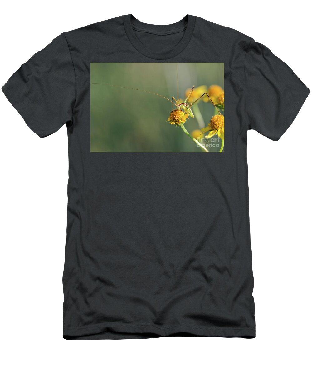 Katydids T-Shirt featuring the photograph Short-wing Katydid by Al Andersen