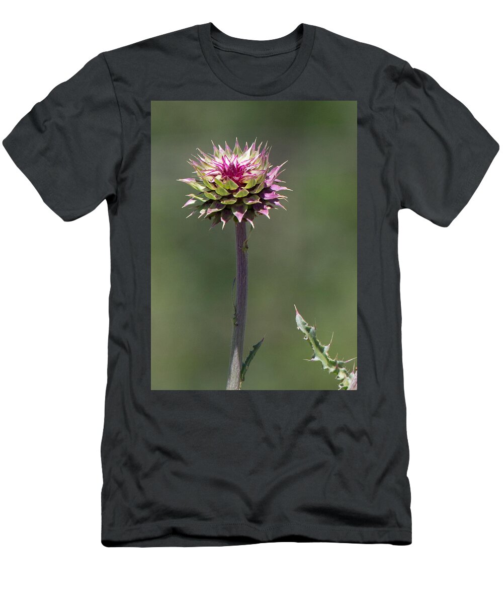 Botanical T-Shirt featuring the photograph Shrouded Beauty by John Daly