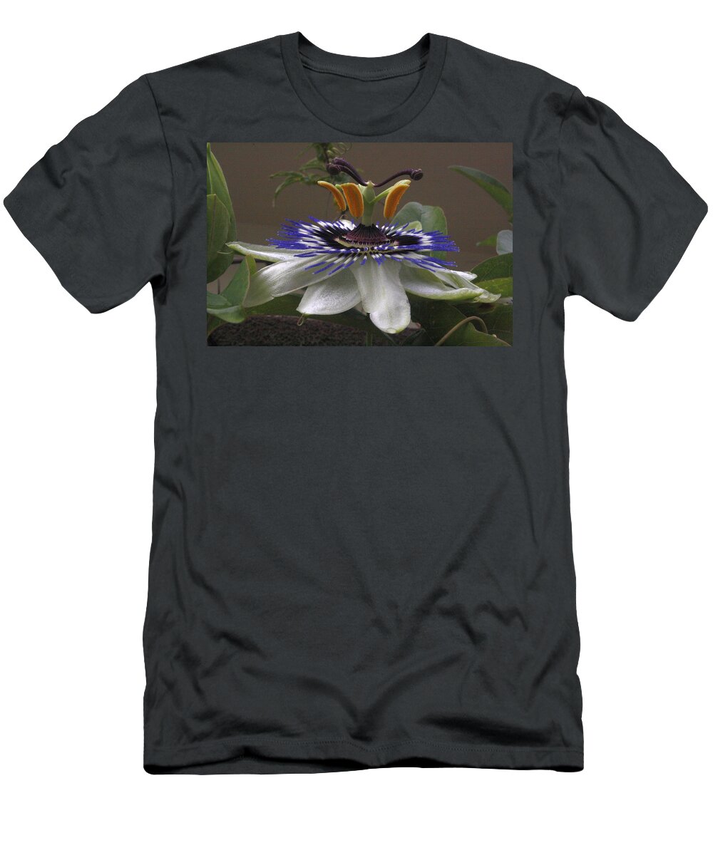 Flower T-Shirt featuring the photograph Side View of Beautiful Passiflora Flower by Taiche Acrylic Art