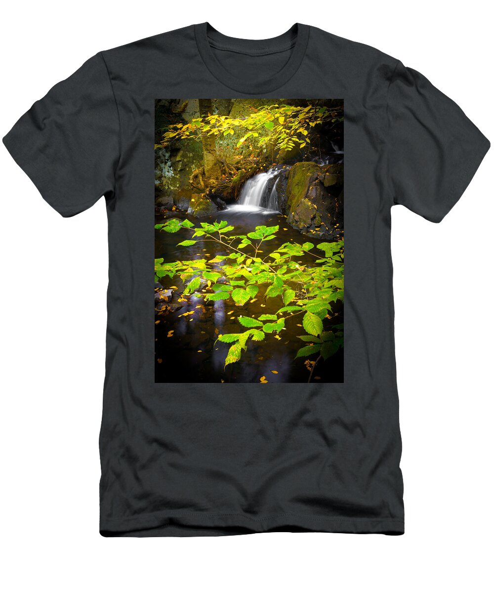 Leaves T-Shirt featuring the photograph Silent Brook by Mark Rogers