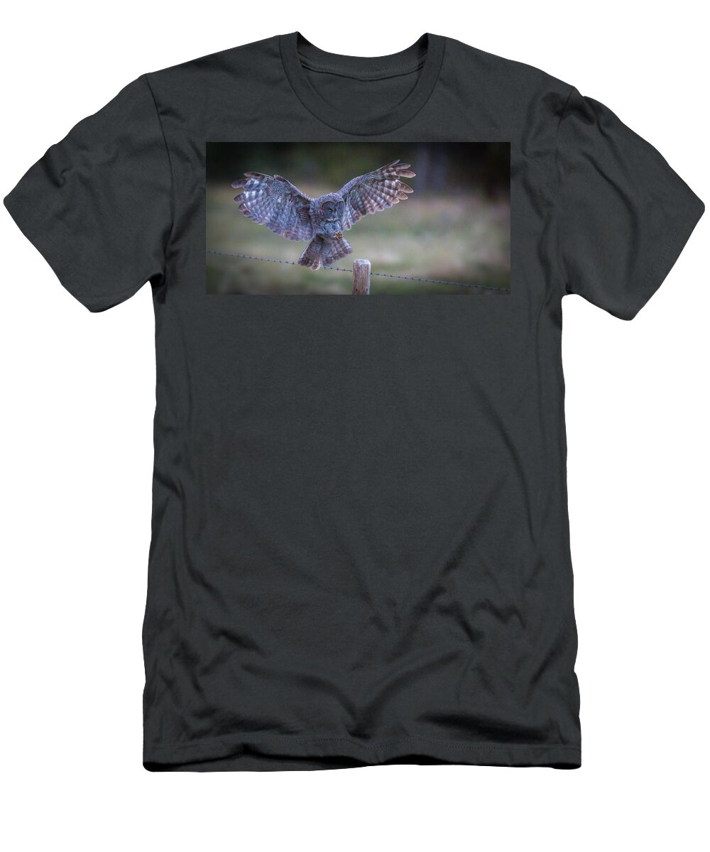 Owls T-Shirt featuring the photograph Silent Landings by Kevin Dietrich