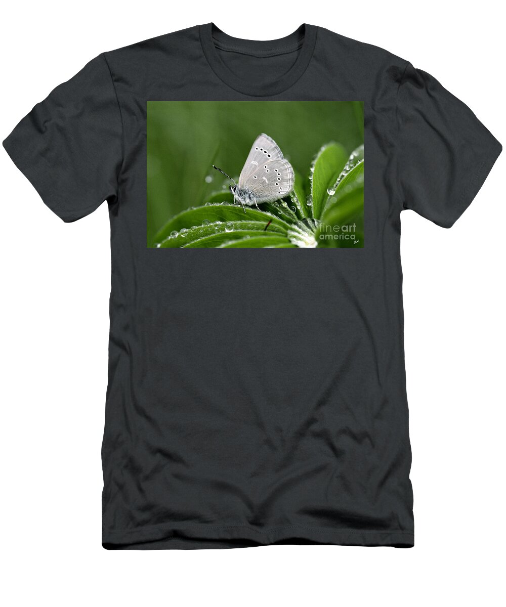 Macro T-Shirt featuring the photograph Silver Butterfly by Alana Ranney