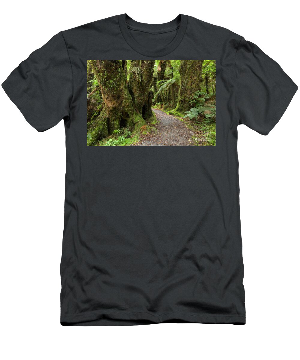 00463415 T-Shirt featuring the photograph Silver Tree Ferns Rainforest South by Yva Momatiuk and John Eastcott