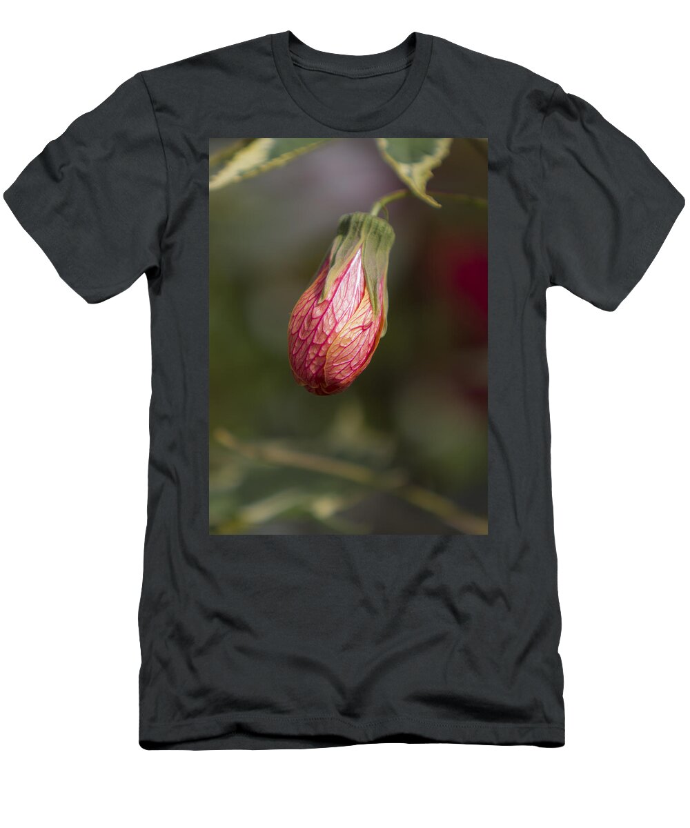 Bud T-Shirt featuring the photograph Single Bud by Maj Seda