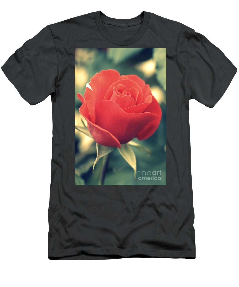 Gift T-Shirt featuring the photograph Single red Rose by Amanda Mohler
