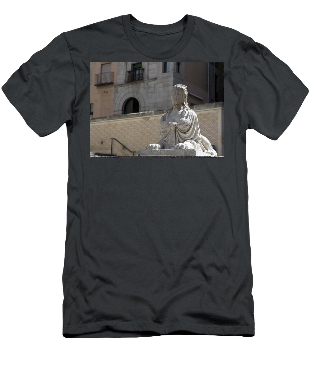 Suckling Pig T-Shirt featuring the photograph Siren Sphinx in the Medina del Campo by Lorraine Devon Wilke