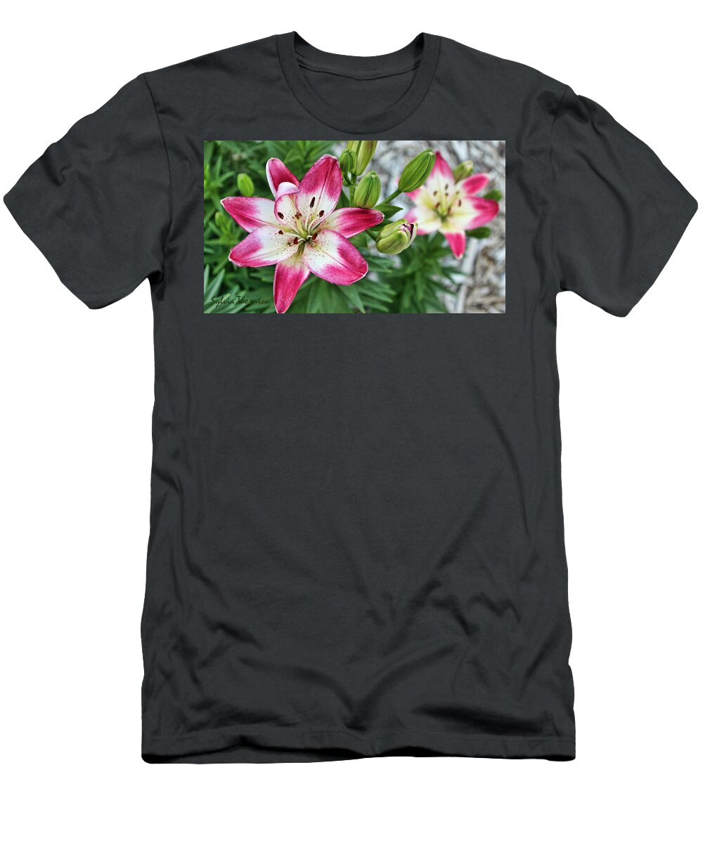 Lily T-Shirt featuring the photograph Sisters by Sylvia Thornton