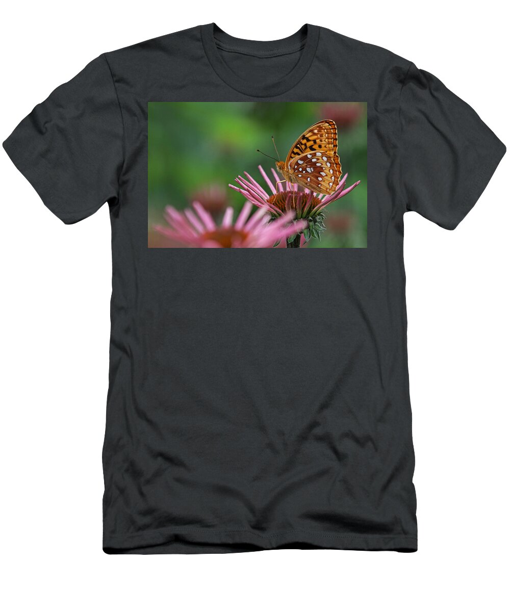 Butterfly T-Shirt featuring the photograph Skipper on Coneflower by Juergen Roth