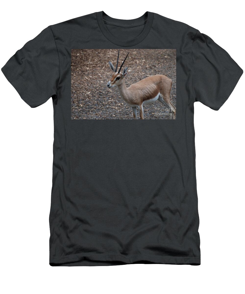 Gazelle T-Shirt featuring the photograph Slender Horned Gazelle by DejaVu Designs