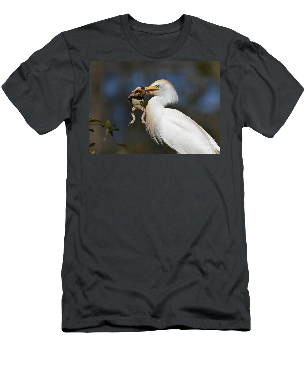 Egret T-Shirt featuring the photograph Snagged by Kathy Baccari