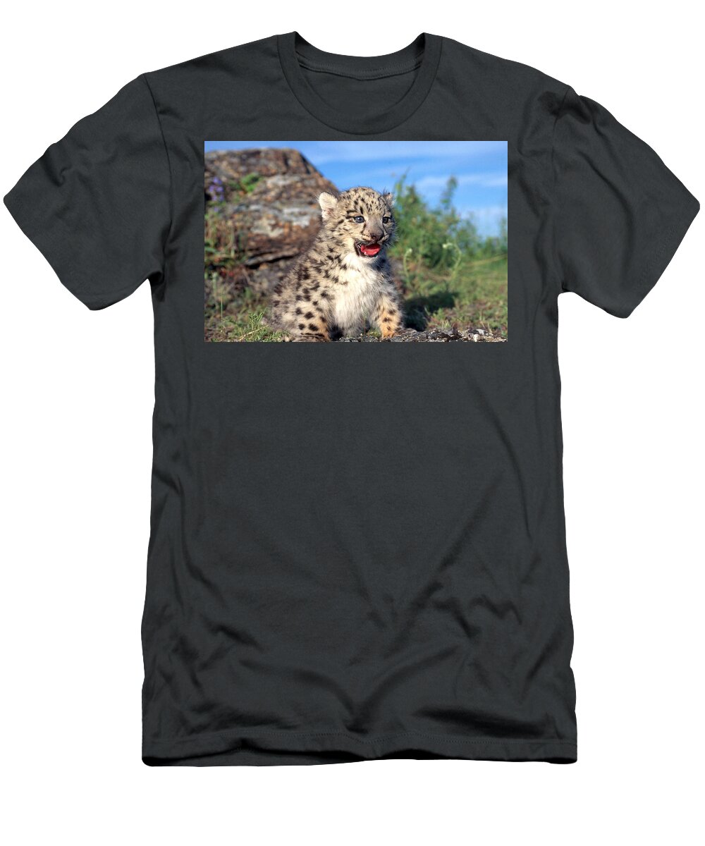 Animal T-Shirt featuring the photograph Snow Leopard Panthera Uncia by Thomas And Pat Leeson